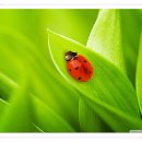 25행정사사무소 이미지