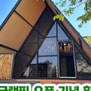 포레스트51