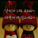 솔의향기 이미지