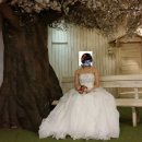 엠스튜디오