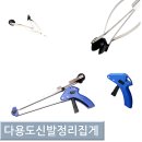 노리조아 이미지