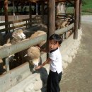 연일목장 이미지