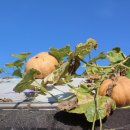 풍경농장 이미지