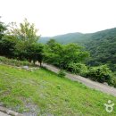 간월자연휴양림 이미지