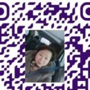 인셀덤다원