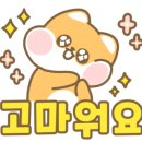 카베스트샵 이미지