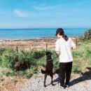 소풍게스트하우스&레드썬셋펜션 이미지