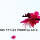 겨자씨 만한 믿음을 갖자(마17:20, 눅17:6) 이미지