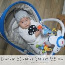 지미니4