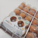 싱싱 | 양평유정란맛집 싱싱계란 방문후기