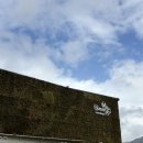 친환경 식물 미술관 이미지