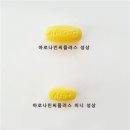알약플러스