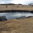 짜장친구 이미지