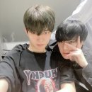 케미 큐 이미지