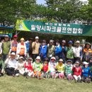 청록 Daum카페