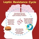 고도한의원 이미지