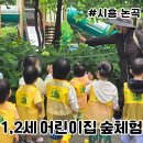 도남숲 1단지 어린이집 | 시흥 어린이집 숲체험 1세 2세 영아 유아
