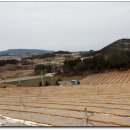 대월체육시설 이미지