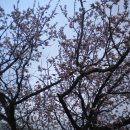 제주청년회 이미지