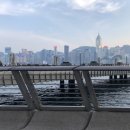 베네시안모텔 이미지