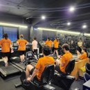 일생의 피티 이미지