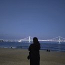 간식먹기 위해 사는 자의 일상 포토덤프