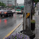 수원-1506 이미지