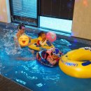 비니하니하우스 이미지