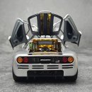 LCD 1:18 McLaren F1XP5 실버출시 이미지