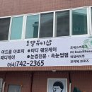 네일바이주