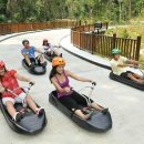 통영루지 이미지