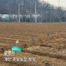 장기농장 | 광명시 주말농장 실패 후 주말농장 분양 후기