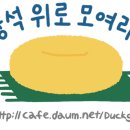 검찰, '故고유민 갑질 논란' 배구단 무혐의…"증거 불충분" 이미지