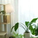 주식회사 제주펫 | 국내제작 펫 식기대 추천! 고양이를 위한 펄드 스틸 식기대 추천