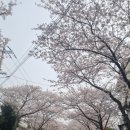 동화마을 생태공원 1 이미지