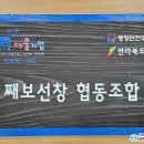 째보선창협동조합 이미지