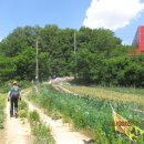 표교초교 이미지