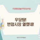 레벨(LEVEL) 이미지