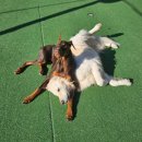 태담이네 하우스 이미지