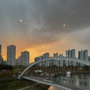 에코중앙로L 이미지