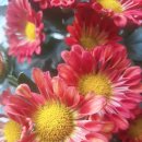 백산의료기 이미지