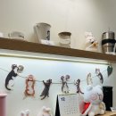 중계씨앤미 이미지