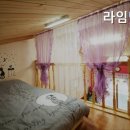 라임벨리 이미지