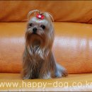 일죽농협주유소 이미지