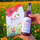 거창사과원예농협하나로마트 | [거창한거창] 거창 5홍(紅)을 소개합니다. - 김민혜기자