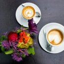 흙과소나무 이미지