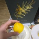 올레 베르데 이미지