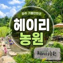 숲속의살룻 자연농원 | 파주 아이와 가볼만한곳 | 30개월 아기랑 물놀이 바베큐 가능한 '헤이리농원' 팜크닉 후기