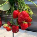 수경농장 이미지