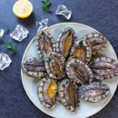 완도참전복 이미지